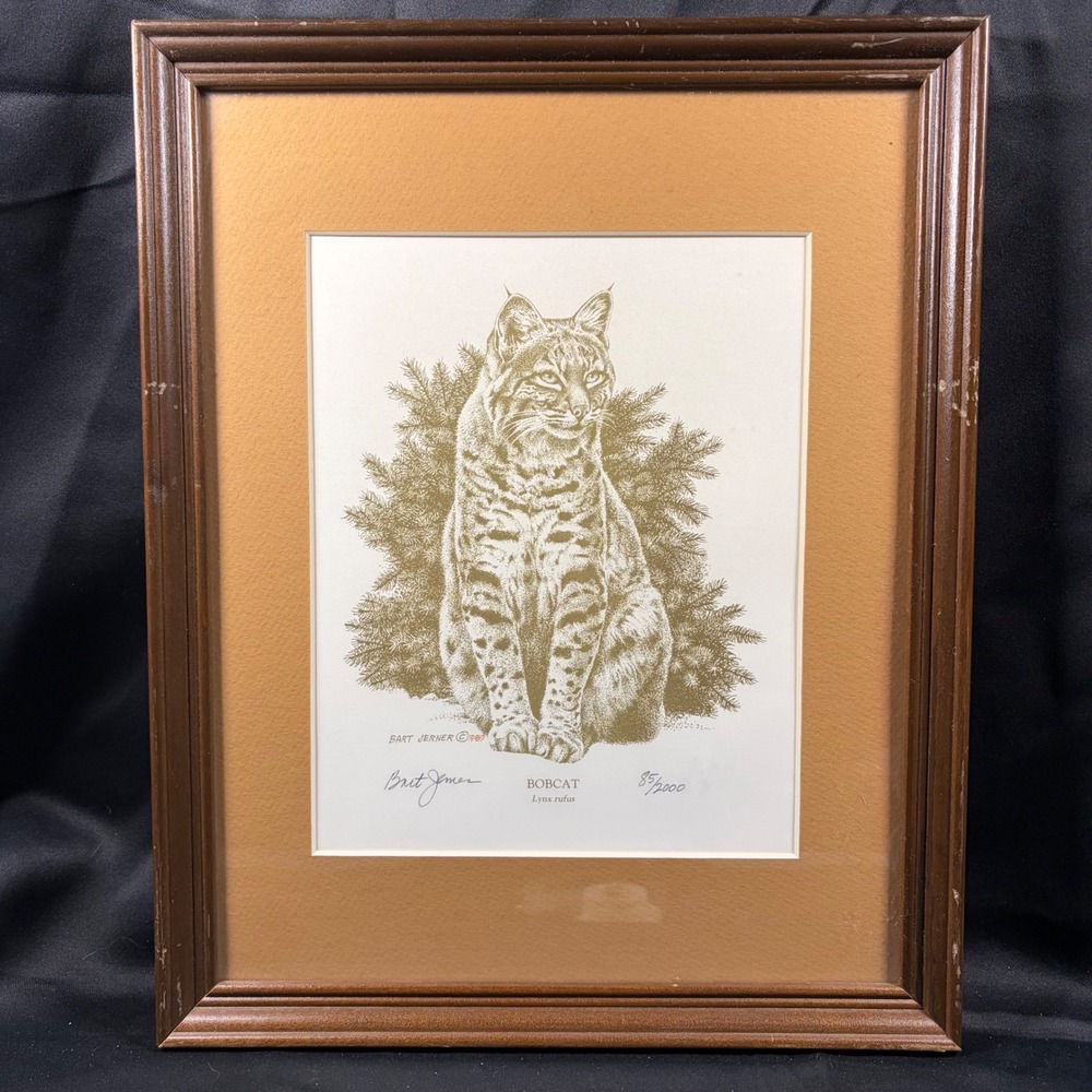 Bart Jerner Bobcat Lynx Rufus Signed Print 85/2000 Wood Frame 1989 Wildlife Art